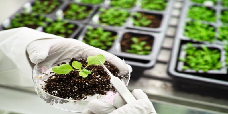 Agricultural Biotechnology Market - Analysis & Consulting (2025-2030)